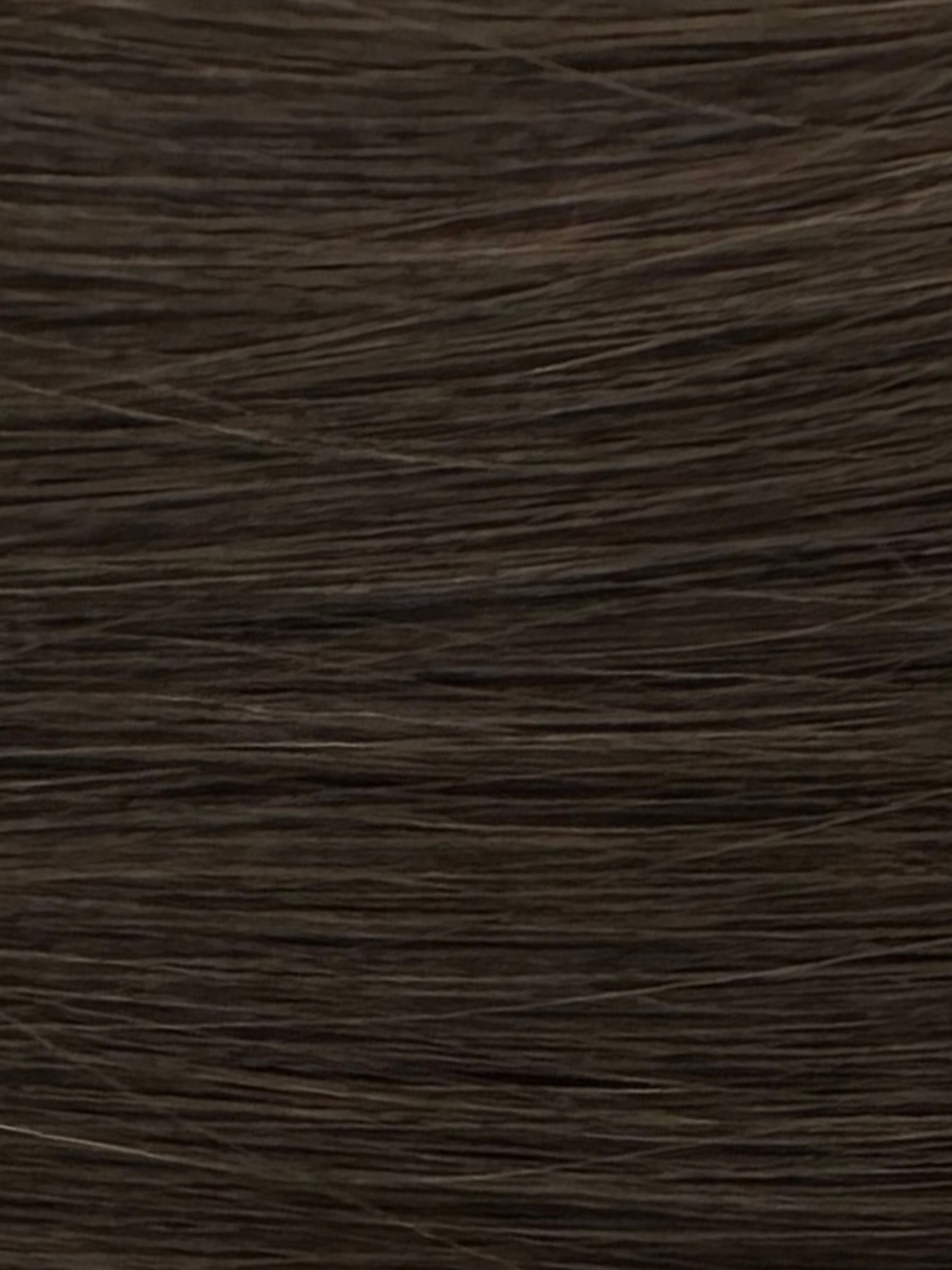 #3 French Toast 20" SpeakEasy Clip-In Extensions