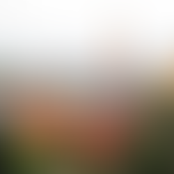 Cornell Johnson MBA Placement Report – Careers, Class Profile, Industry Insights and Outcomes