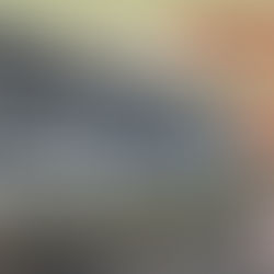 AthlitAct pt.1: our sport halls cleaner!