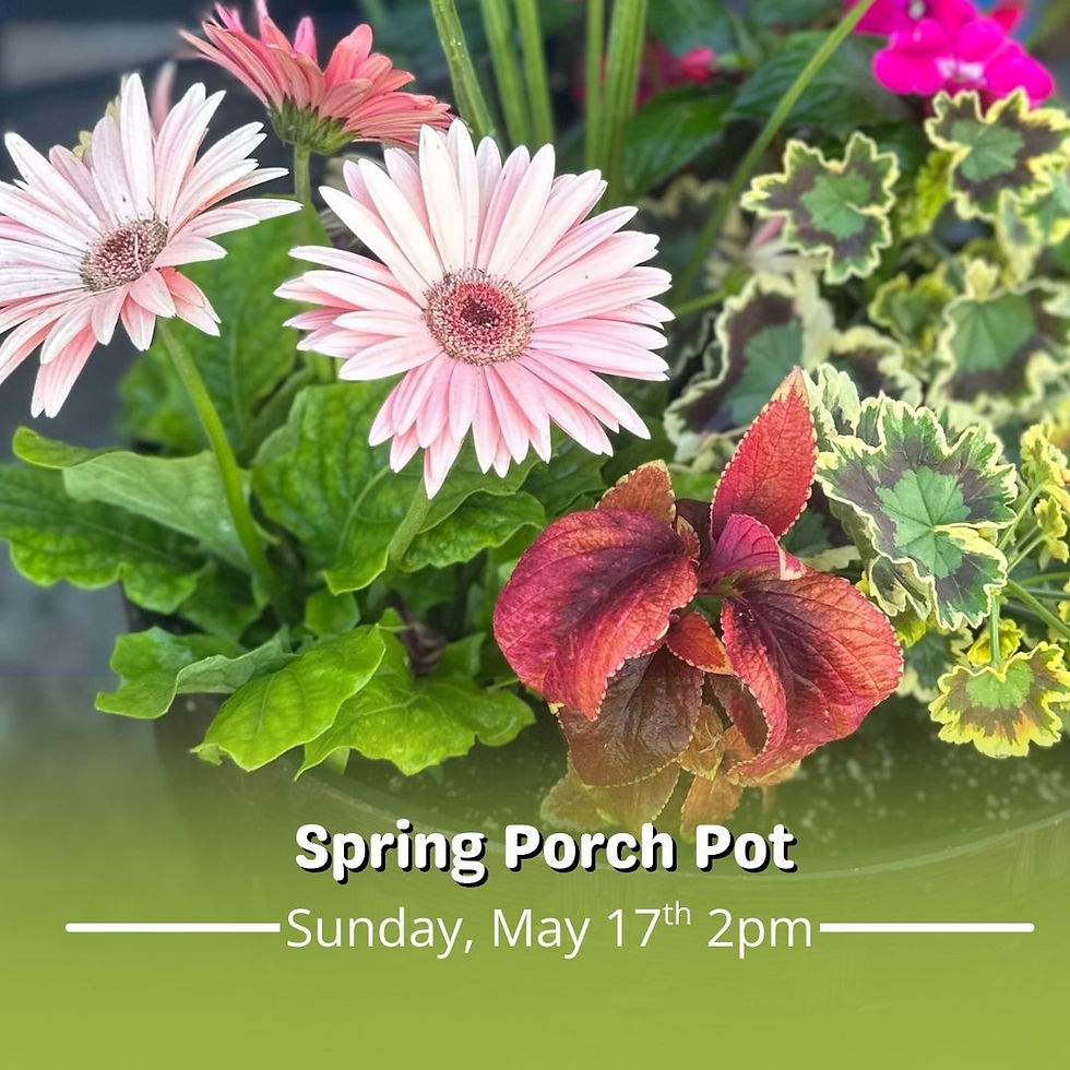 Spring Porch Pot