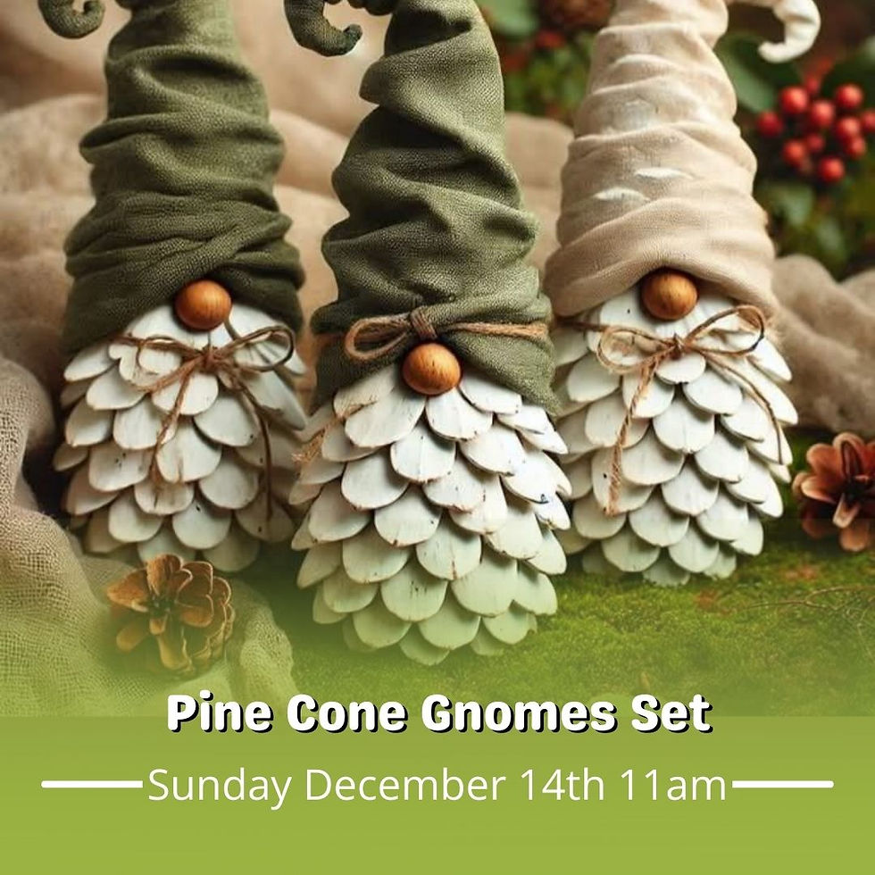 Pine Cone Gnomes Set