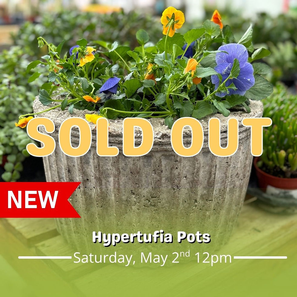 Hypertufia Planter