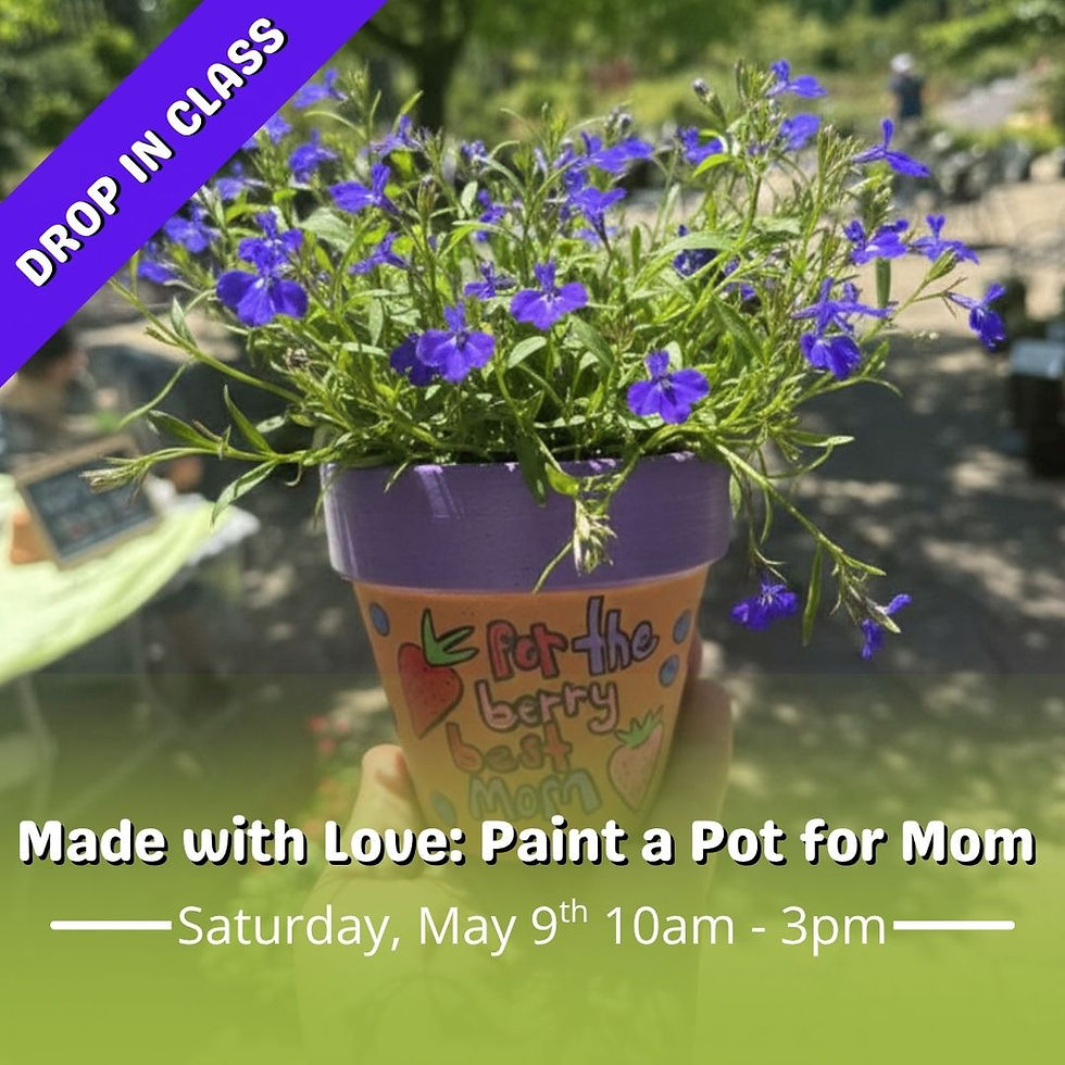 Made with Love: Paint a Pot for Mom