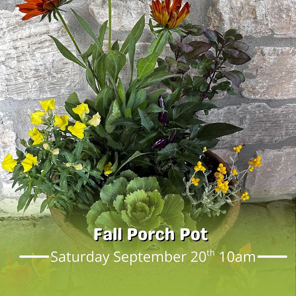 Fall Porch Pot