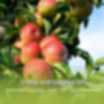  Fruits & Veggies 101