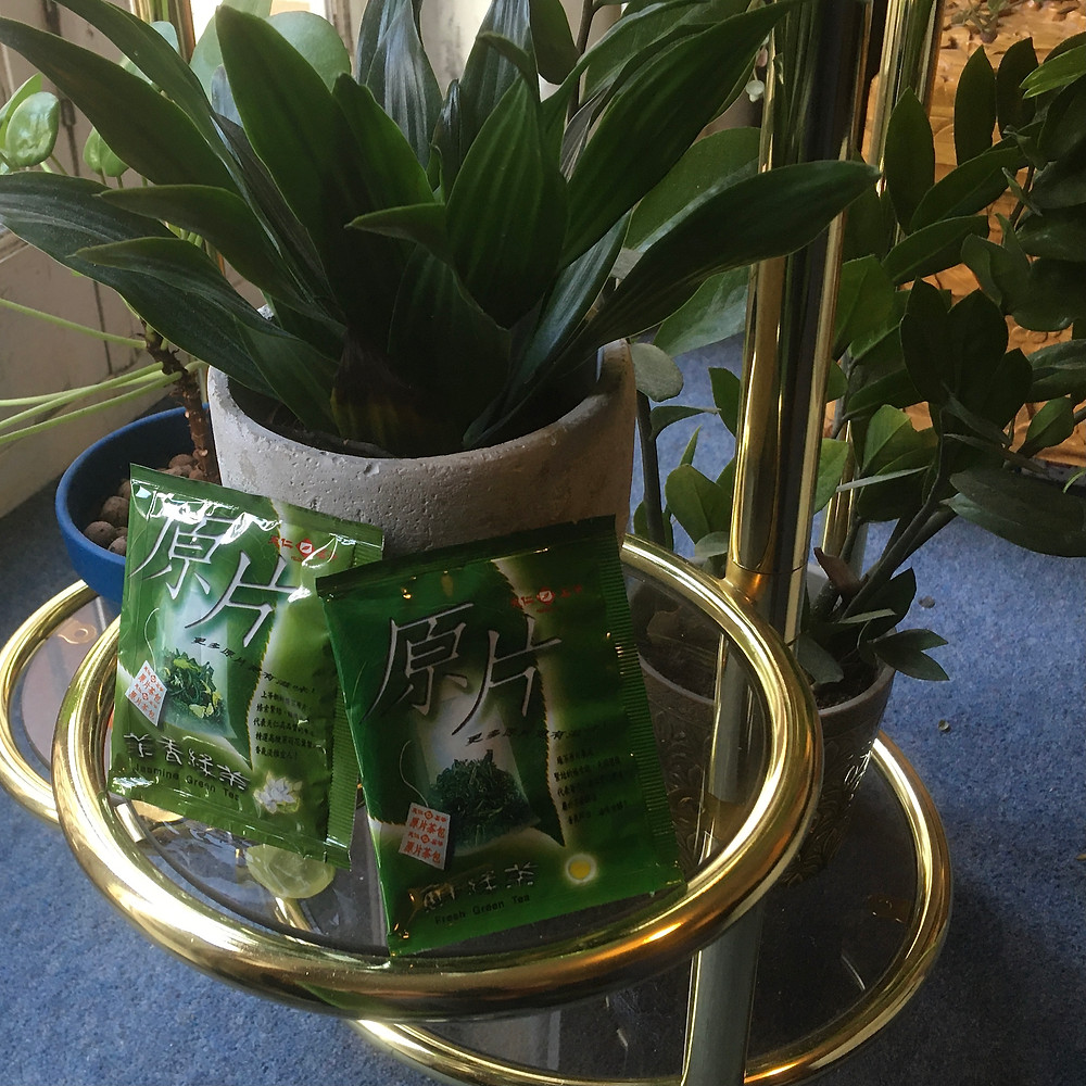 Two teabags propped up against a plant pot