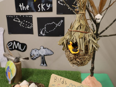 Making learning visible