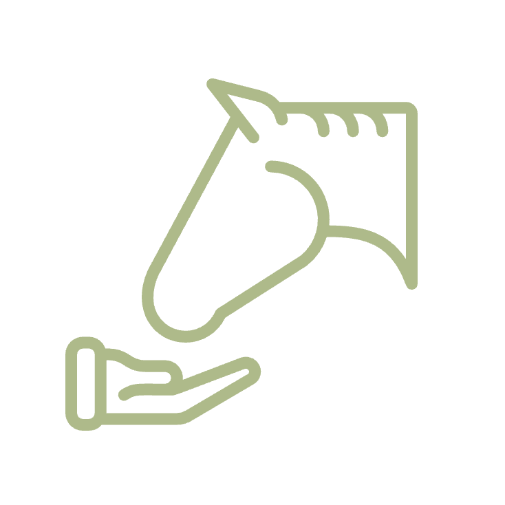 horse (1).png