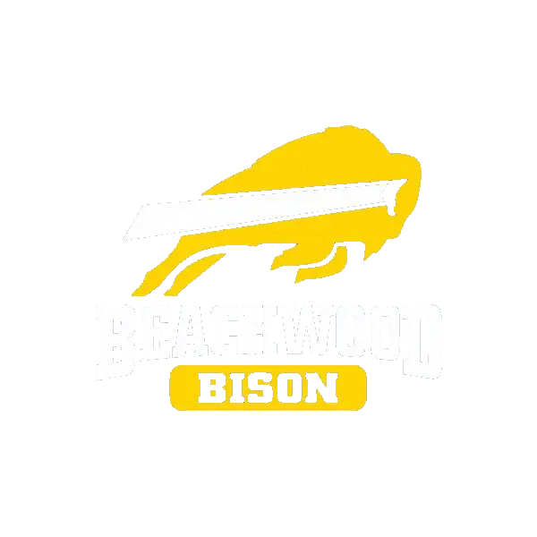 bison-logo-2c-on-darkgrey-1476883274-3167.gif