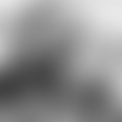 Standard Day At The Office...