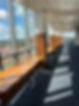 IMG_9921.jpeg