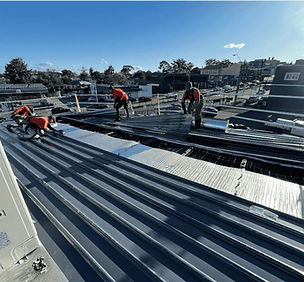 Roofing Crew on Metal Roof - (Small)_edited.jpg