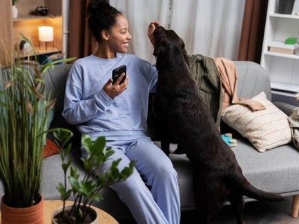 How to Hire a Professional Pet Sitter