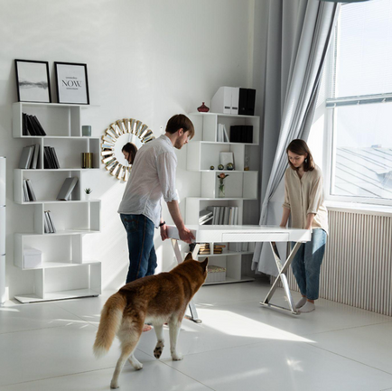 Pet Sitters' Top Tips for Moving with Your Pets 