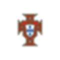 Portugal national team emblem for football shirts free printing