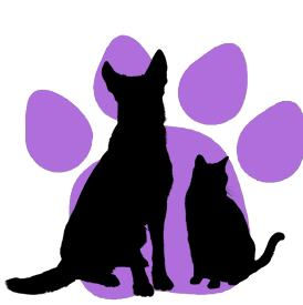 SURPLUS OF CANINES - FOSTER HOMES NEEDED!