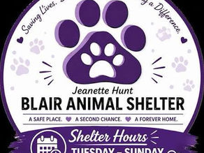 Blair Animal Shelter Supply Shortage