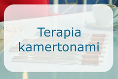 terapia kamertonami