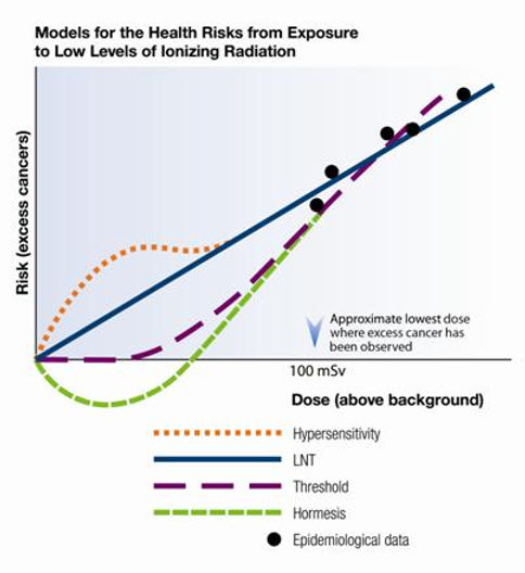 X Ray Risks Understanding Radiation Exposure Risks