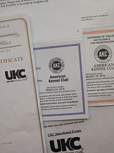 akc_ulc pic.jpg