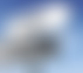 The Formation of Social Norms