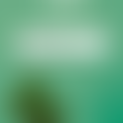 Benefits of Nature Therapy