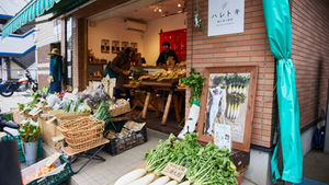 三浦の大根が12種類!朝採れ野菜が揃う八百屋「ハレトキ」のMIURA DAIKON FESTIVAL