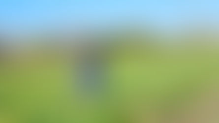 【三浦野菜デザインvol.2】 「三浦大根」の美味しさを語り伝える