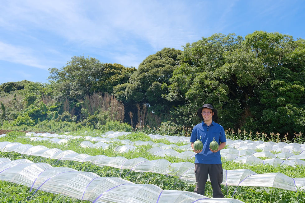 【三浦野菜デザインvol.8】三浦スイカの美味しい秘密(4)スイカを美しく仕上げるひと手間「玉返し」