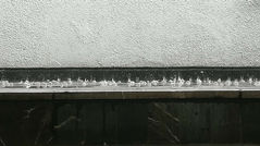 Calor y lluvia para este jueves