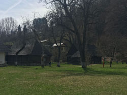 WhatsApp Image 2022-05-15 at 1.11.54 PM