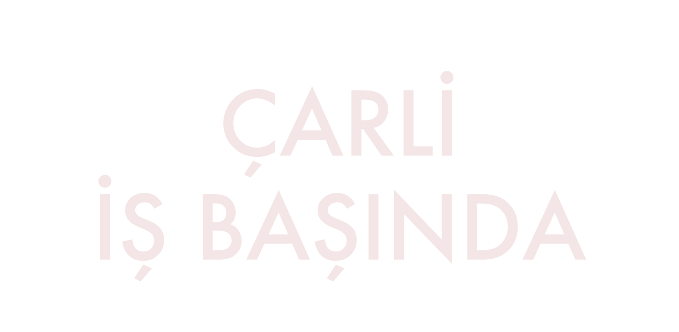 Çarli İş Başında