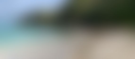 Jeudi 17 février: Terre en vue!
