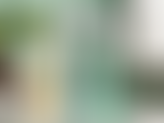 Eco-Friendly Cleaning Tips for a Sparkling Home