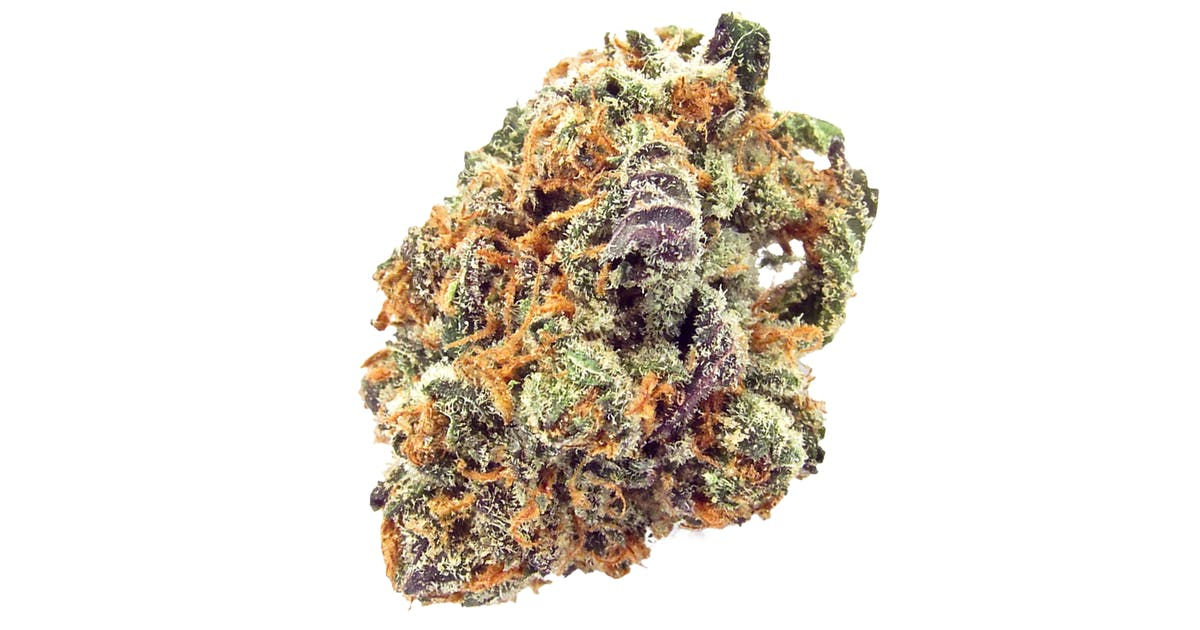 MIMOSA