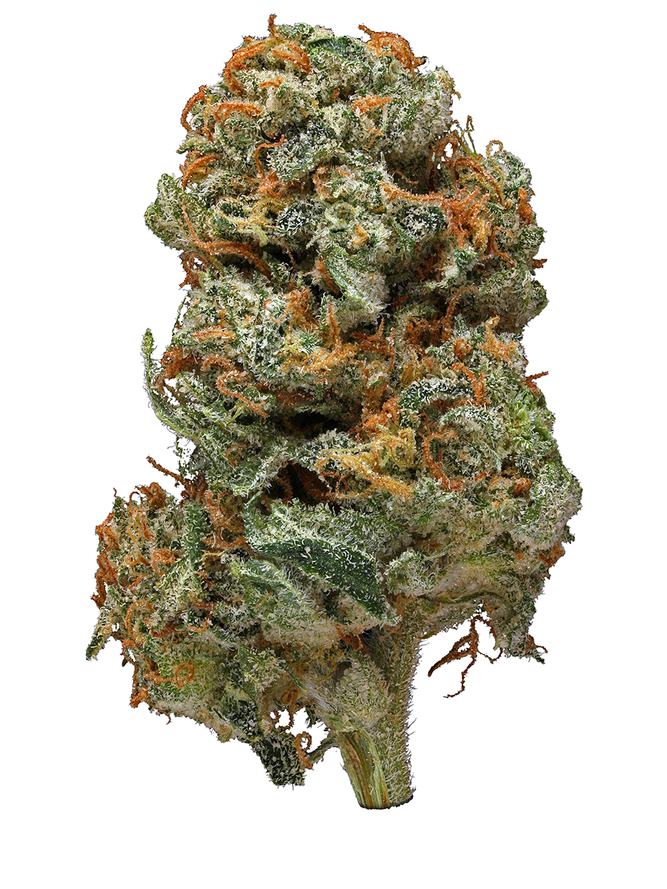 Totem Pole Dispensary's version