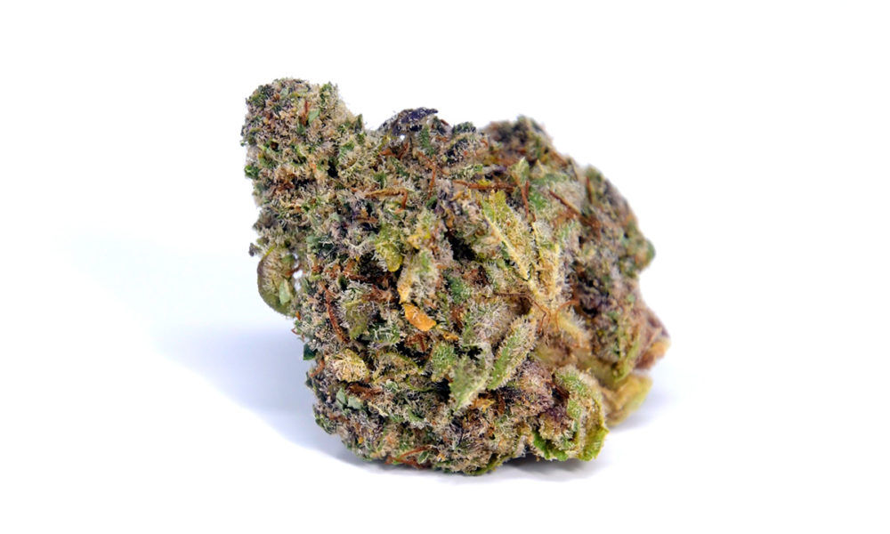PINK ROCKSTAR