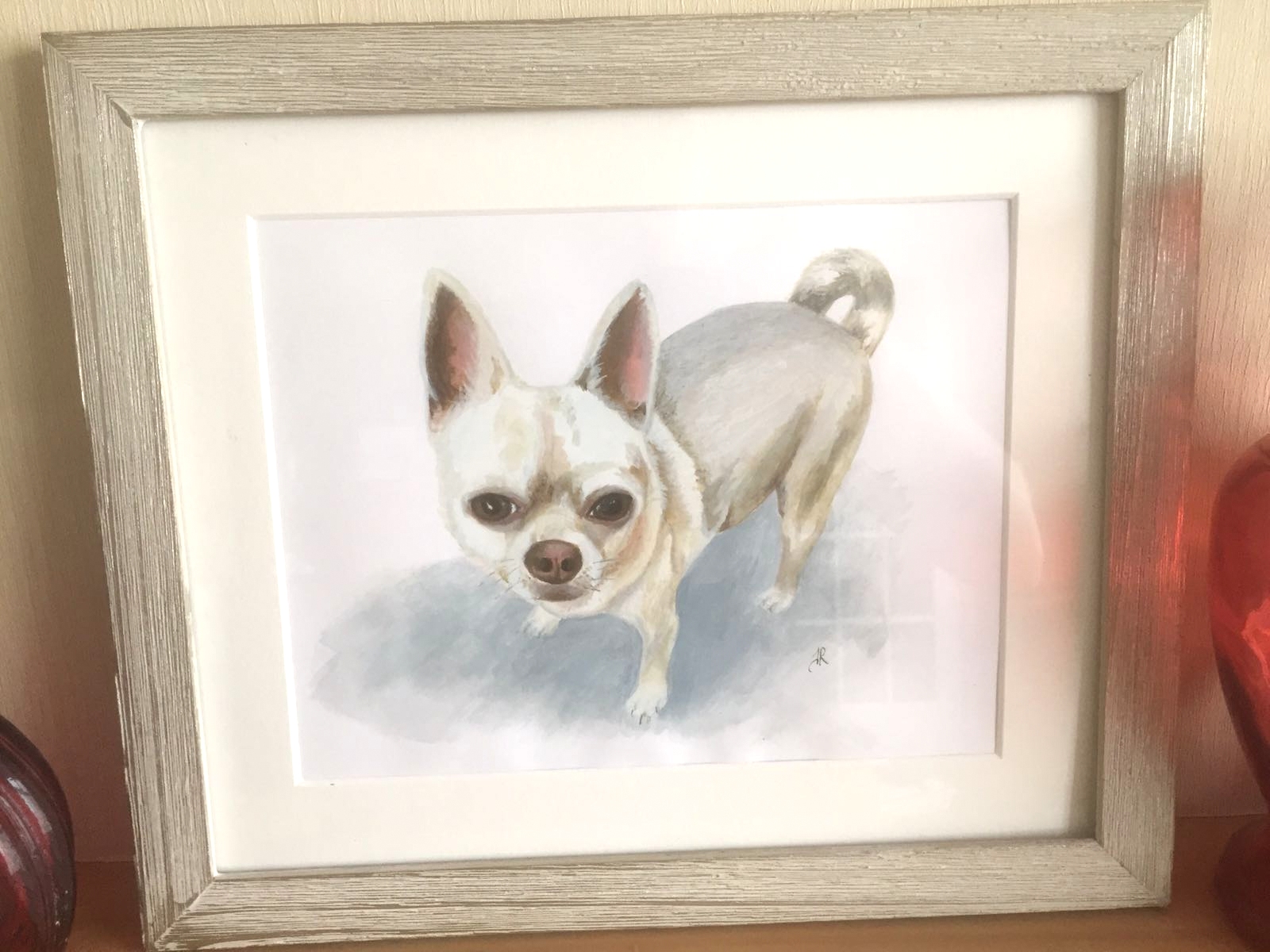 Pet commission