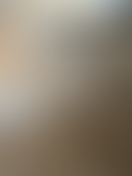 rénovation cuisine bruxelles