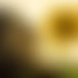 La vitamine D : Une vitamine essentielle à notre bonne santé !