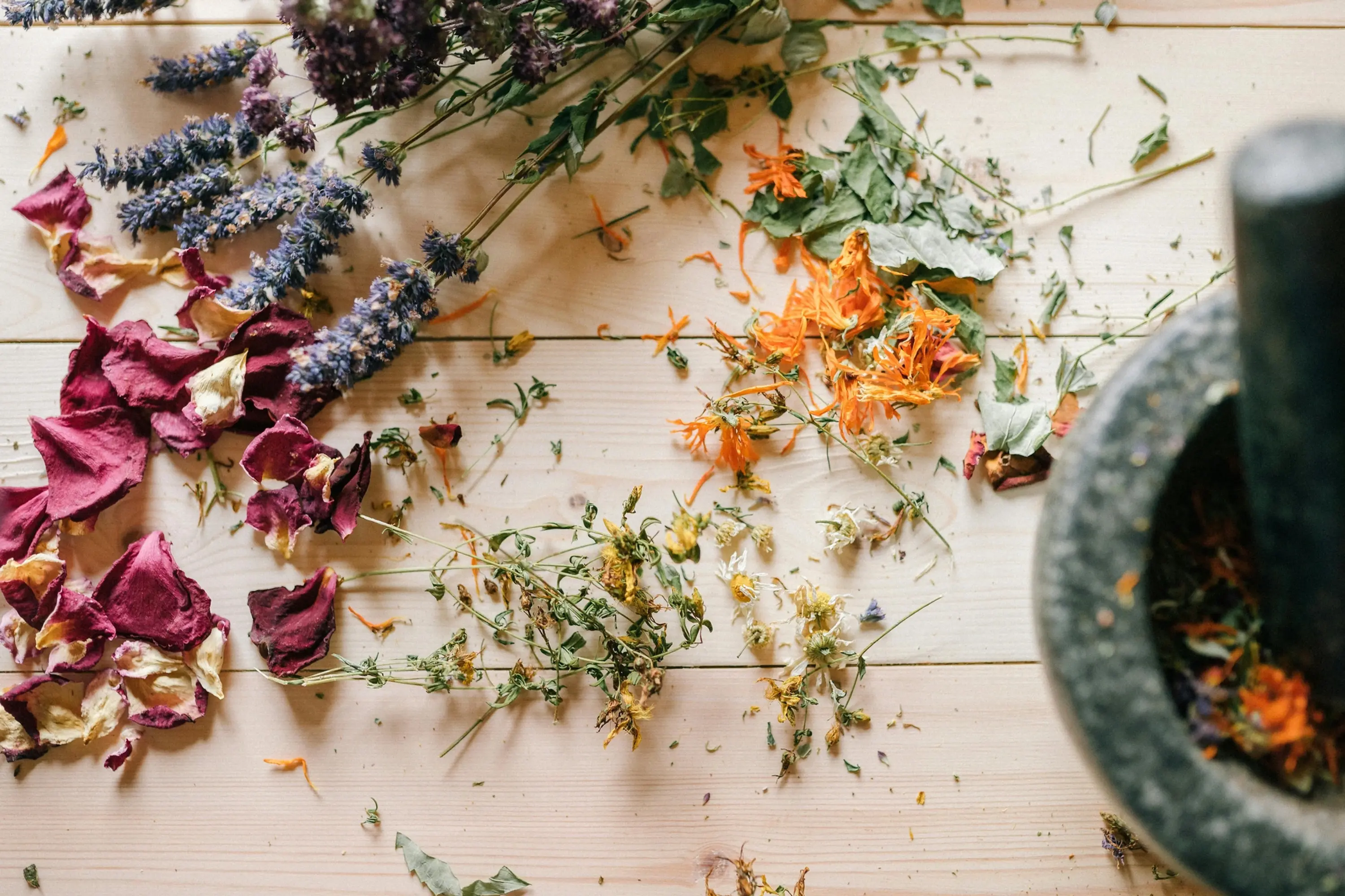 consultation de suivi naturopathie à Plescop