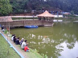 PESQUEIRO COM VARIEDADE