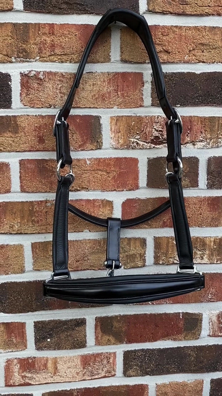 Thumbnail: Testhalfter