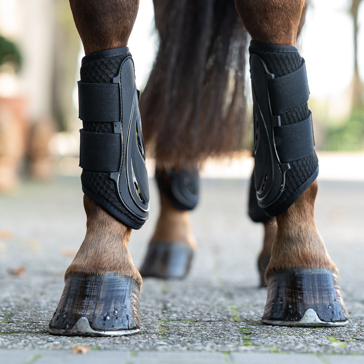 Sale Gamaschen Black Glam