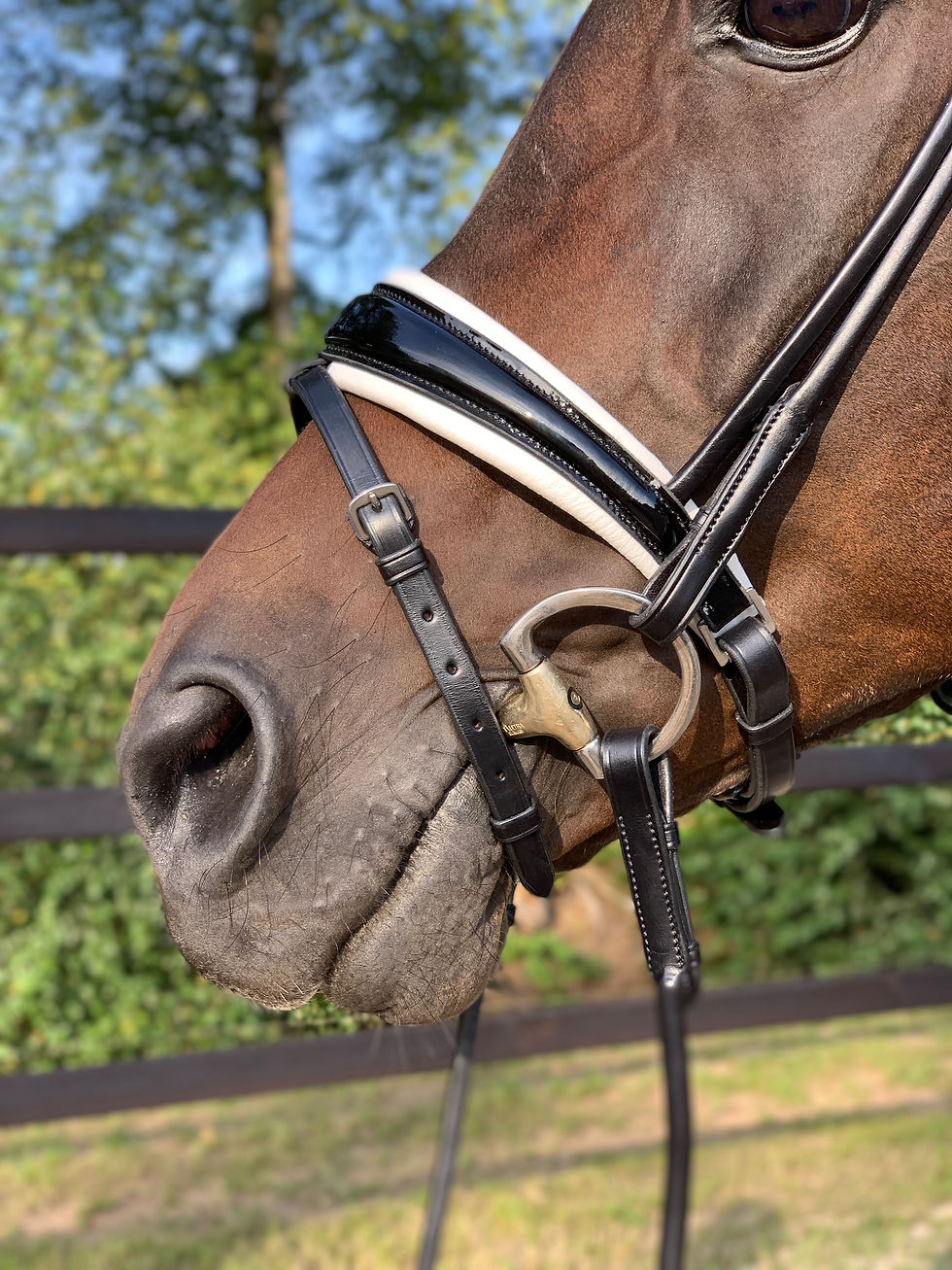 Thumbnail: round sewn noseband "Royal Blue 2.0"