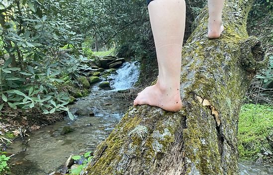 feet walking up a log showing foot mobility and natural movement