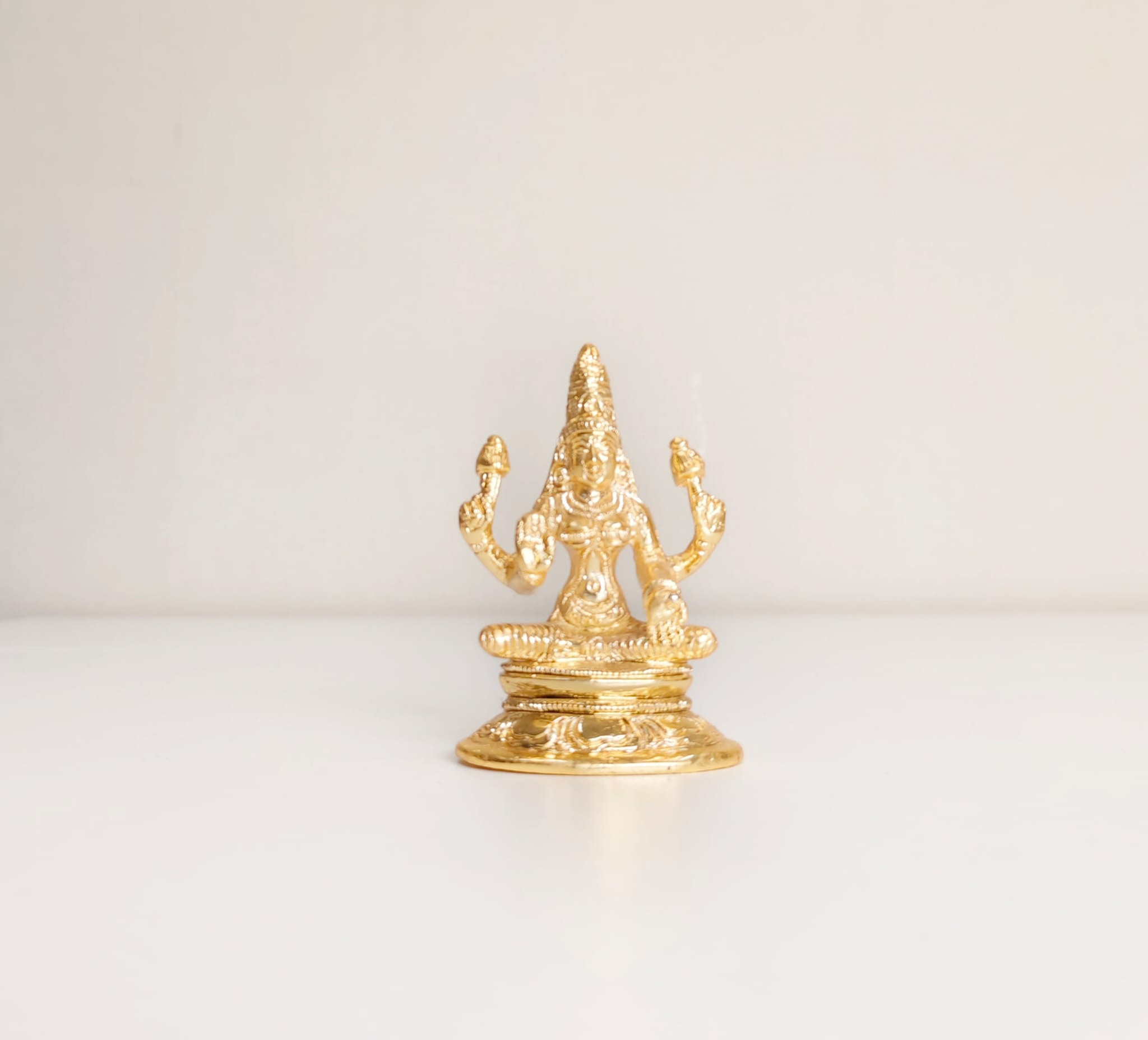 Maha Lakshmi Goddess of Wealth