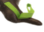 Thumbnail: Bulgarian Bag