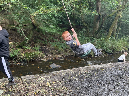 Tree Swing!