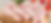 38686671_drumsticks_cropped.jpg
